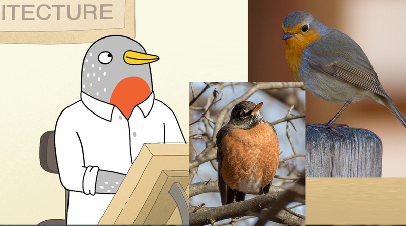 Speckle, an American robin (left) and a European robin (right)